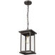 Bowton 1 Light 8.5 inch Powder Coated Bronze Outdoor Hanging Lantern